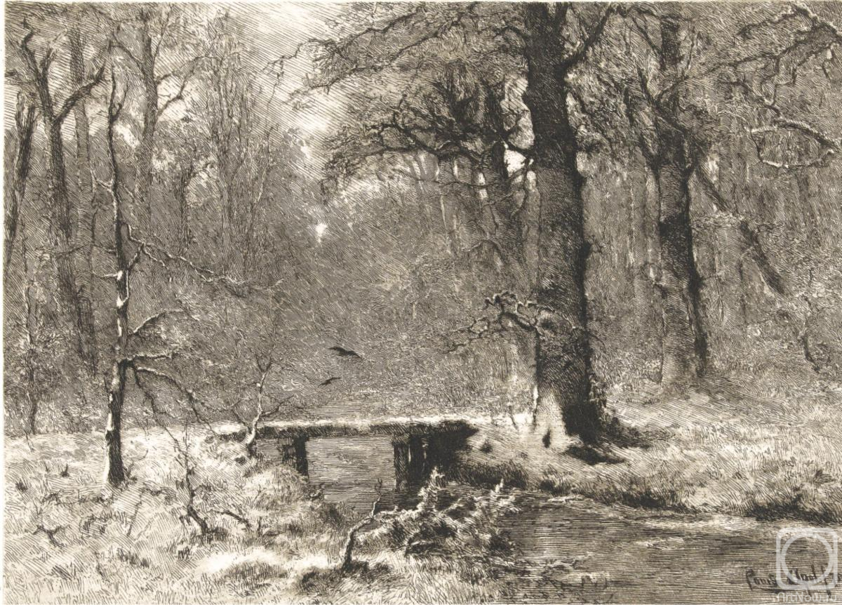 �������. ��������� ������. ������ ���� ����