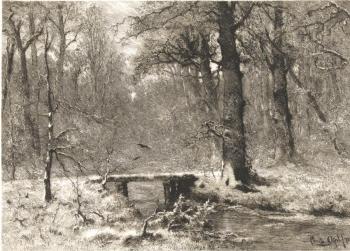 ������ ���� ���� (������ ��� ������). ��������� ������