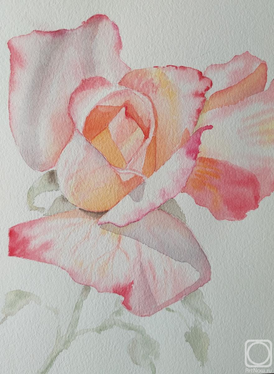 �������. ����� �������. �������� ����