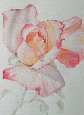 �������� ���� (����������� ���). ����� �������