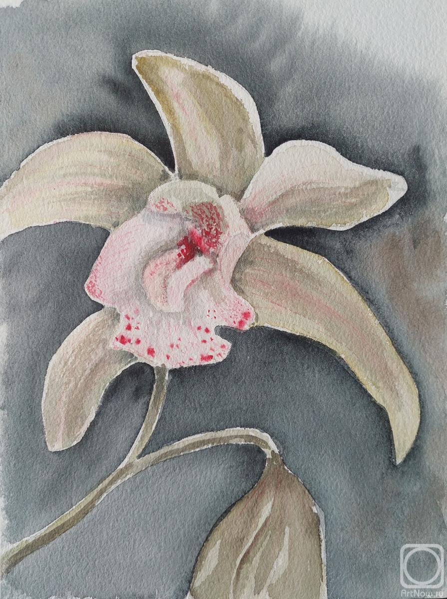 �������. ����� �������. �������