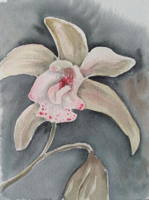 �������. ����� �������