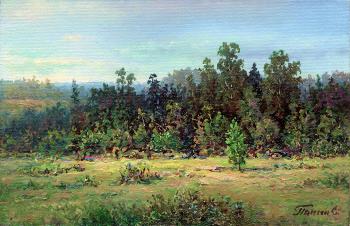 Summer landscape. Panin Sergey