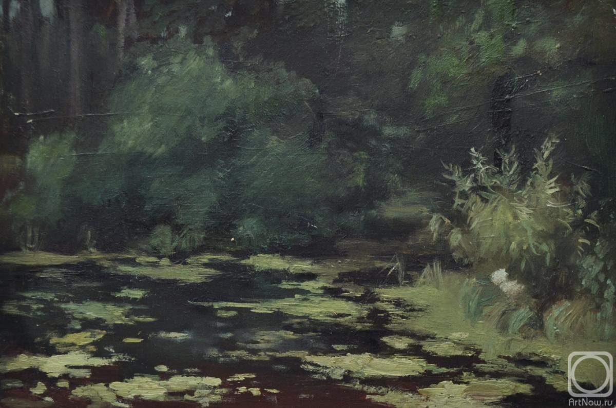 �������. ������ ������. �������� ����