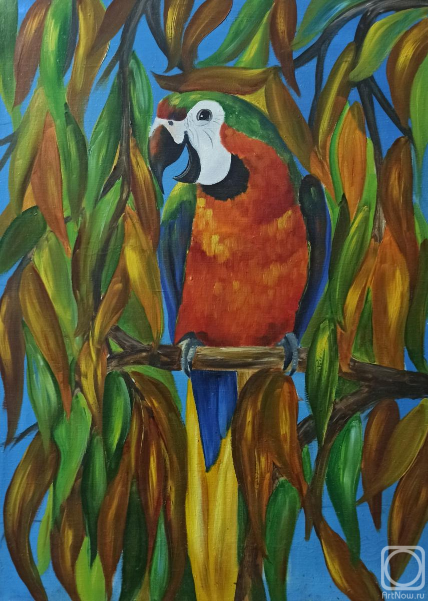 ������� ������ �� ������. ������ �������. � �� �� ���� �� �����?