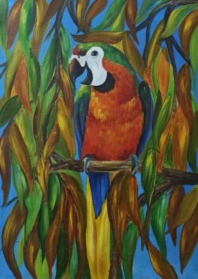 � �� �� ���� �� �����?. ������ �������