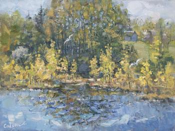 Spring Landscape. Savenkova Natalya