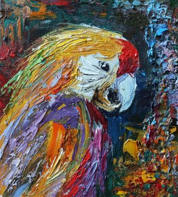 ������� ��� (����� ����). ������ �������