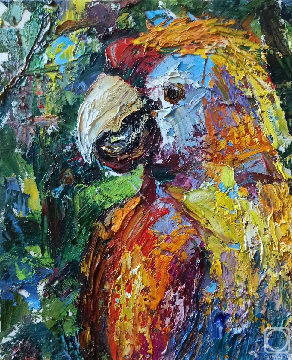 ������� ������ �� ������. ������ �������. ������� ����