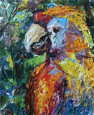 ������� ���� (����� ����). ������ �������