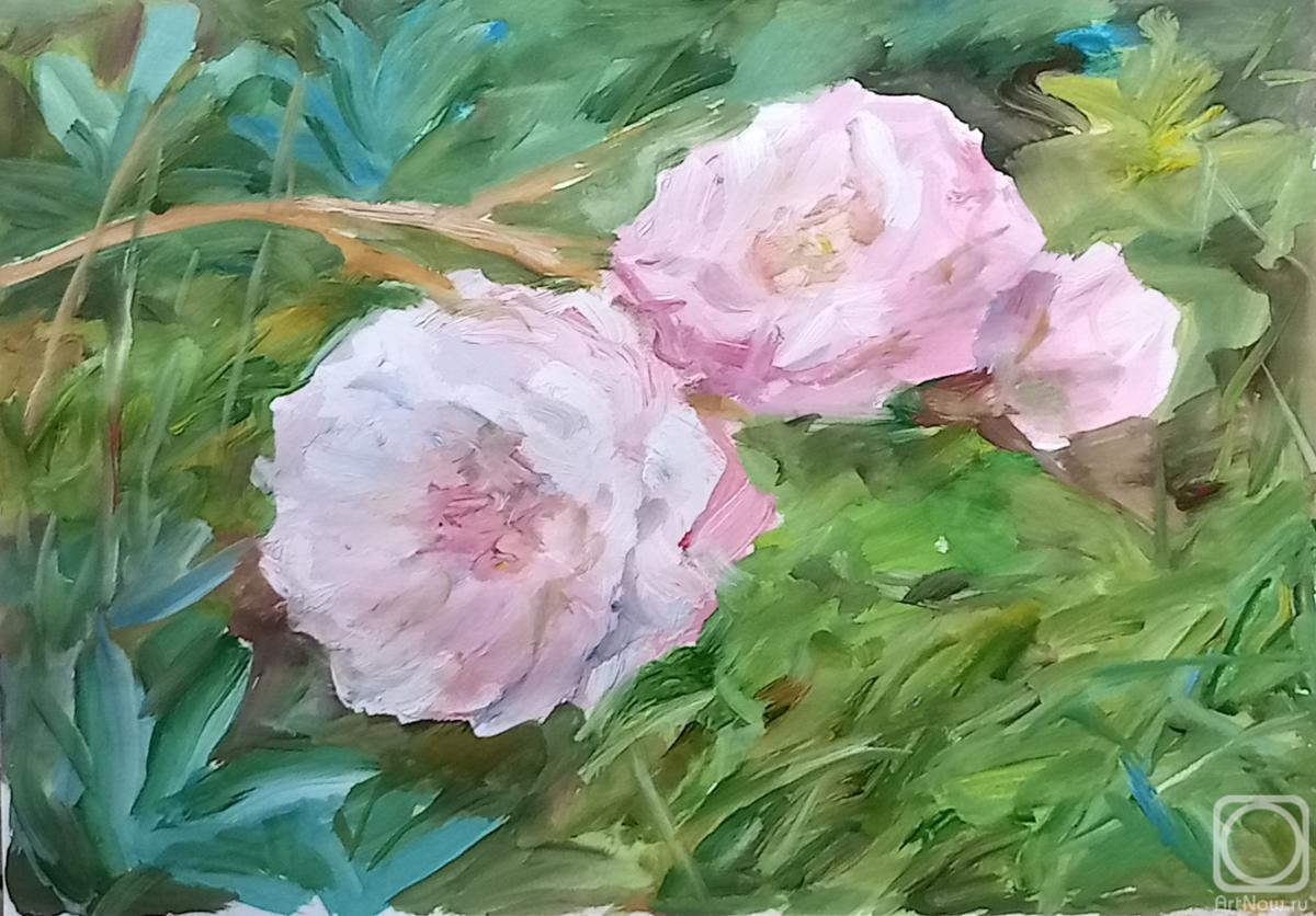 Novikova Marina. Untitled