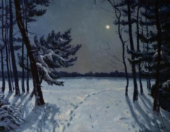 Among the stars and the Moon. Gribanov Yaroslav