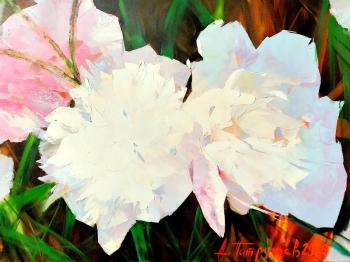 ��������� ���� (��������� �����). �������� �������