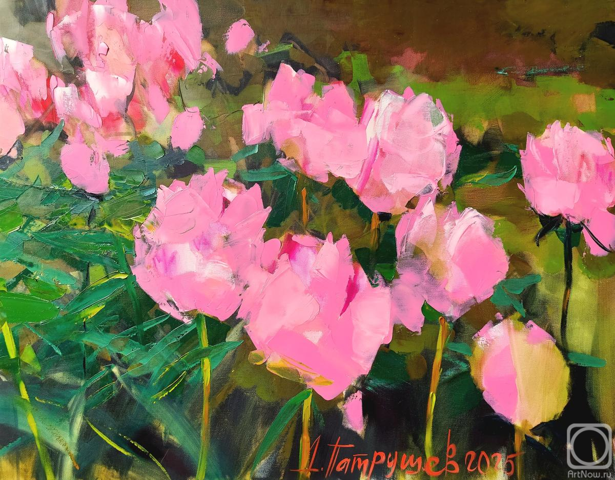 ������� ������ �� ������. �������� �������. ������� �����