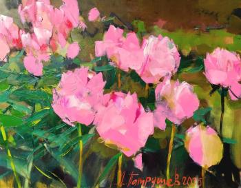 ������� ����� (���� ������). �������� �������