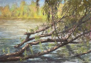 � �� ��� ������. �������� ����