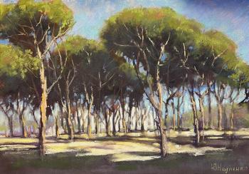 Untitled. Naumenko Yuliya