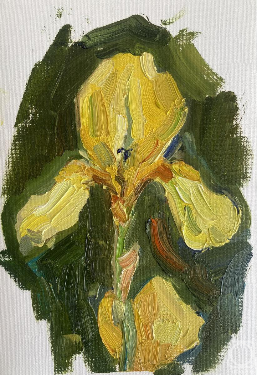 �������. ��������� �����. Ƹ���� ����