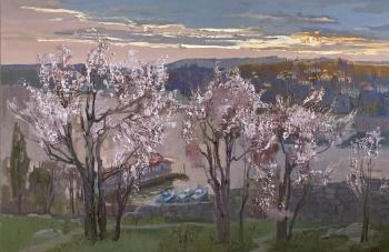 ����� �����. �����������. ���������-�������� �����