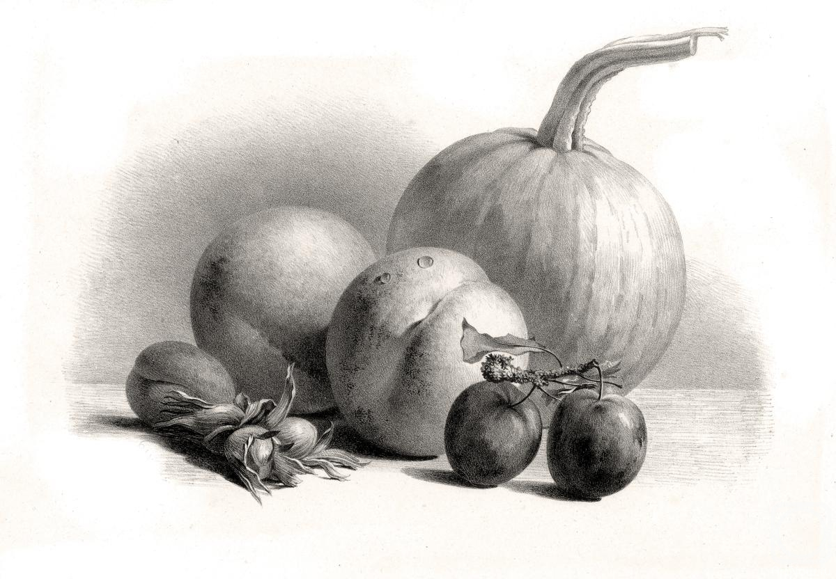 �������. ��������� ������. �����, �������, �������, ����� � ������ �����