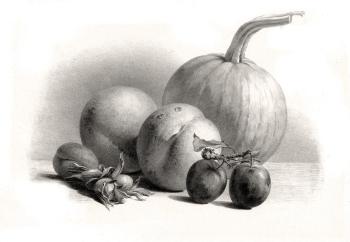 �����, �������, �������, ����� � ������ ����� (������� � ��������). ��������� ������