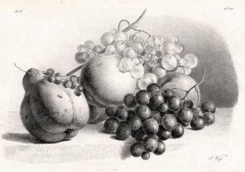 �����, ���������, �������� � ������� (������� ���������). ��������� ������