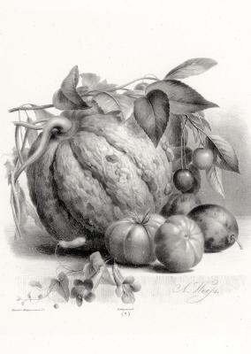 �����, ������ � �����. ��������� ������