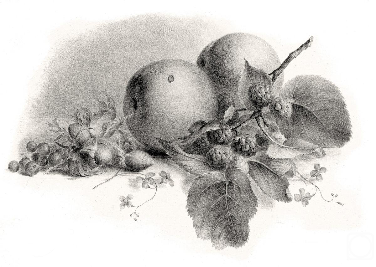 Kolotikhin Mikhail. Peach, currant, hazelnut and BlackBerry