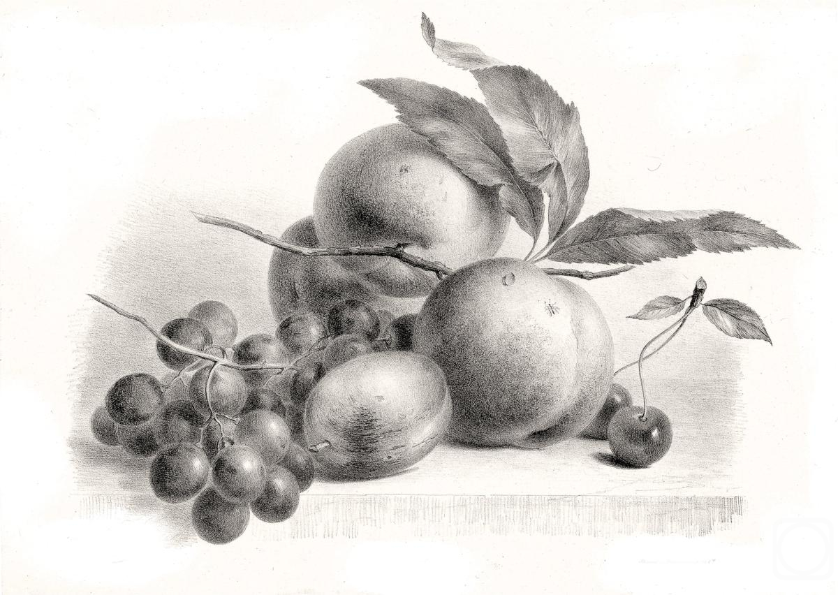 Kolotikhin Mikhail. Grapes, plum, peaches and cherry