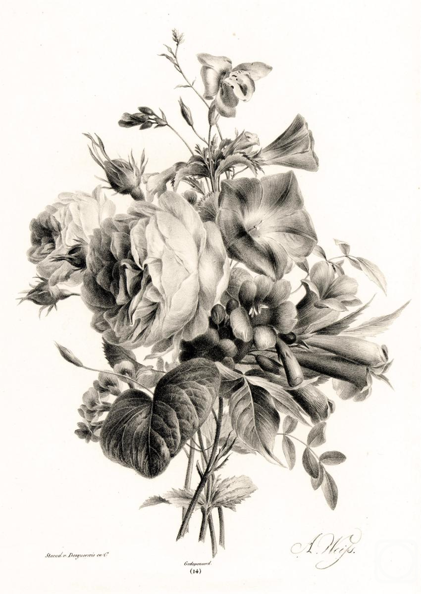 �������. ��������� ������. ���� � ������������