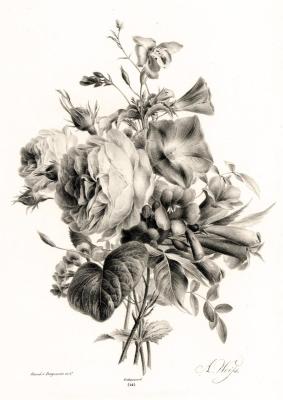 Roses and bells (Old Engraving). Kolotikhin Mikhail