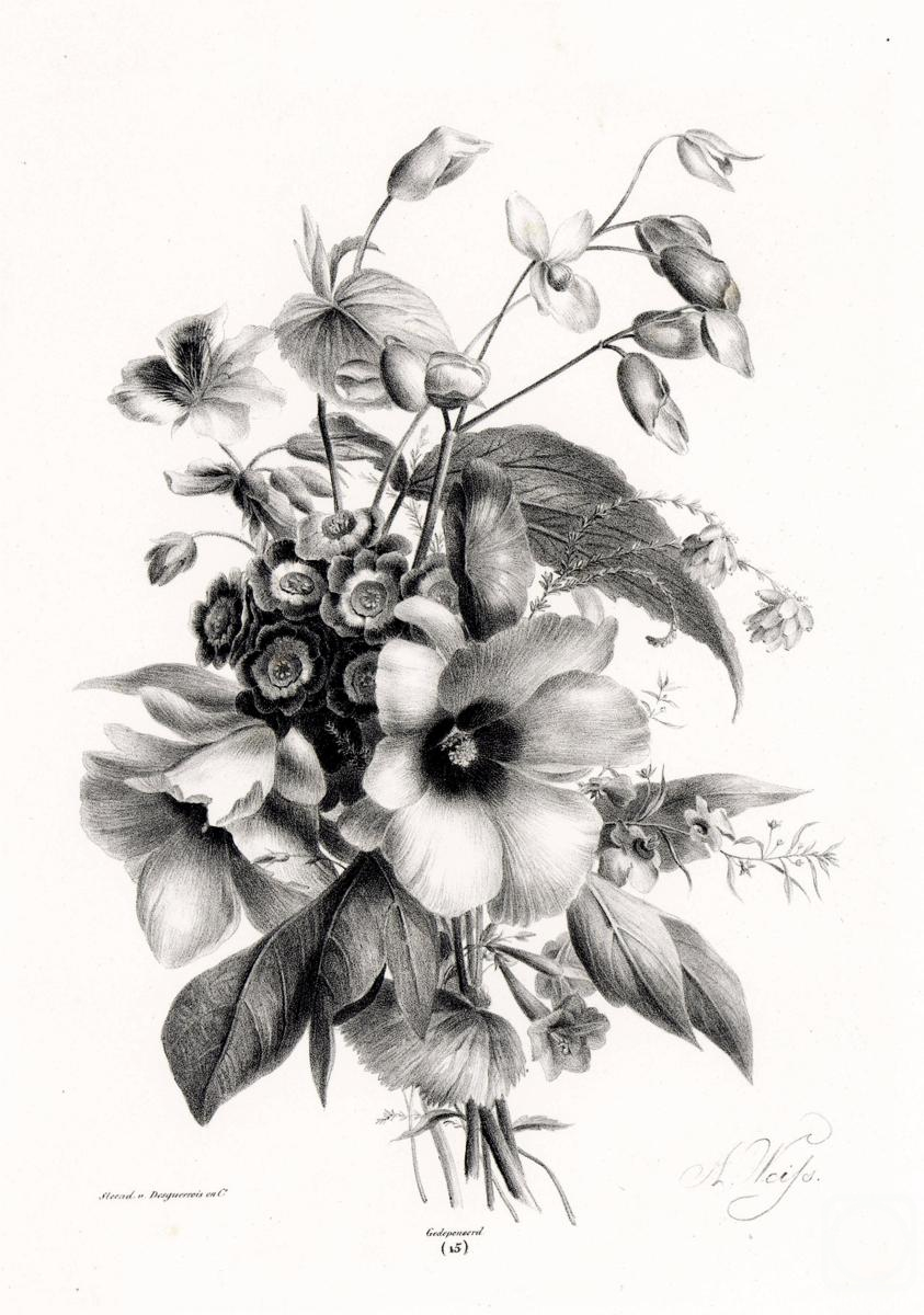 �������. ��������� ������. ����� �� ������ ������