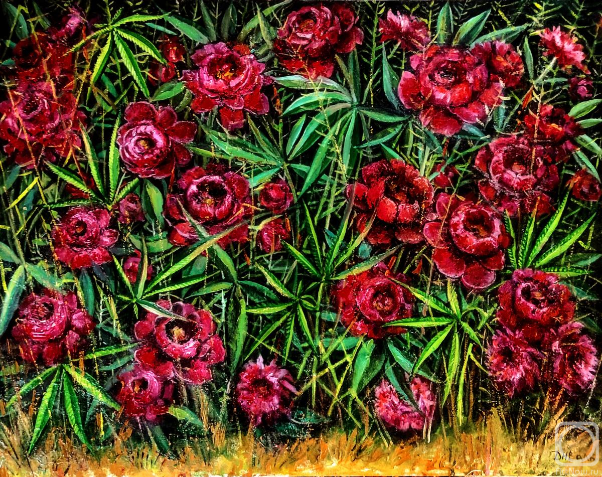 ������� ������ �� ������. �������� �����. �����