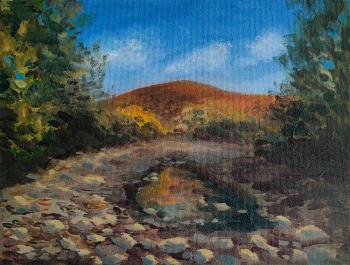 Untitled. Solomaha Anna