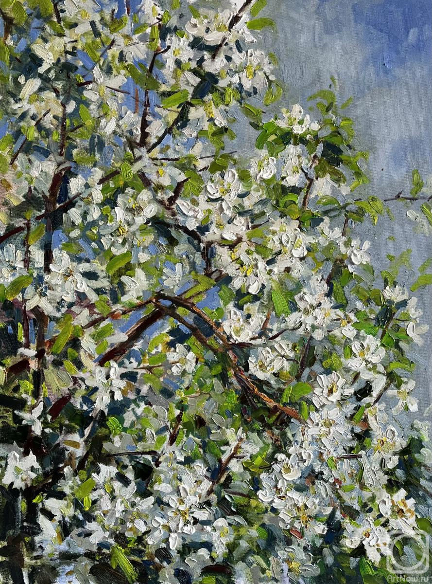 ������� ������ �� ������. ���������� �����. �������� ����������