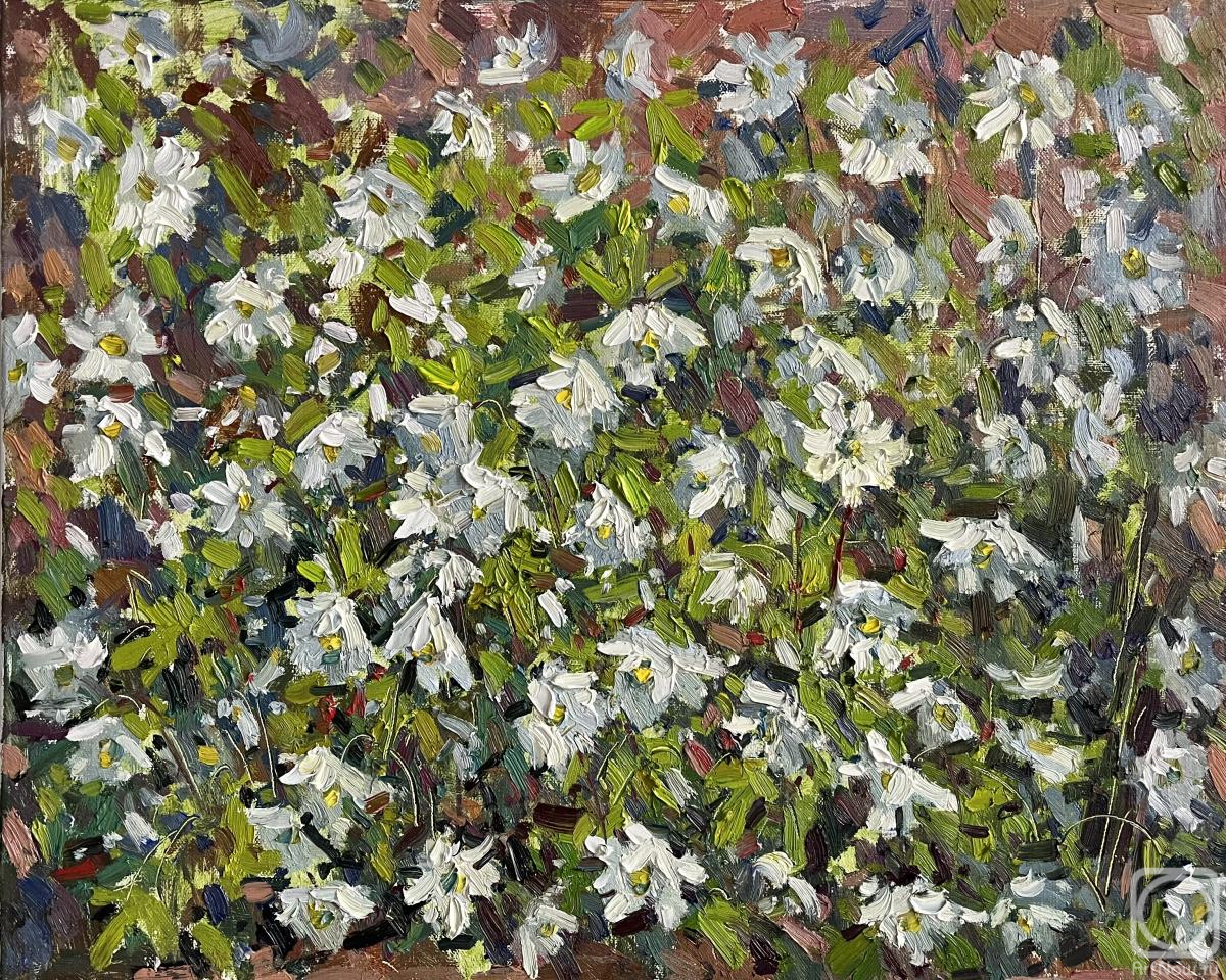 Ostrovskaya Elena. Untitled