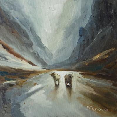 ������� ������������