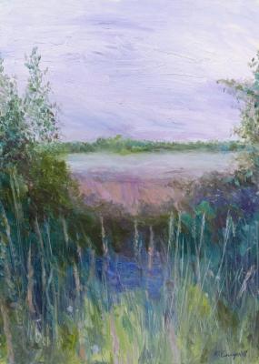 Evening in the field