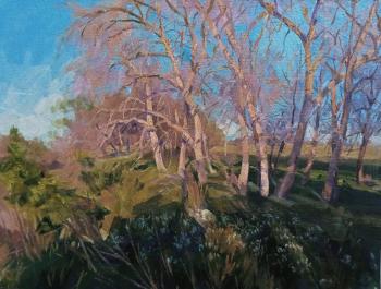 ������� ���� ������ ������. ������� ��������