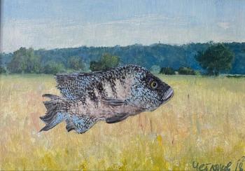 ������� ������ �� ������