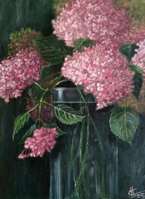 ������� ��������� � ���������� ����. ������ �������