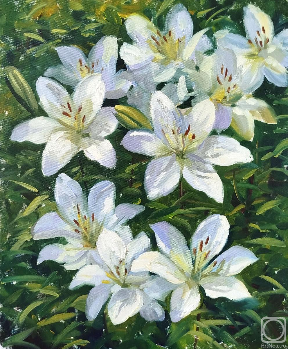 ������� ������ �� ������. �������� ���������. ����� �����