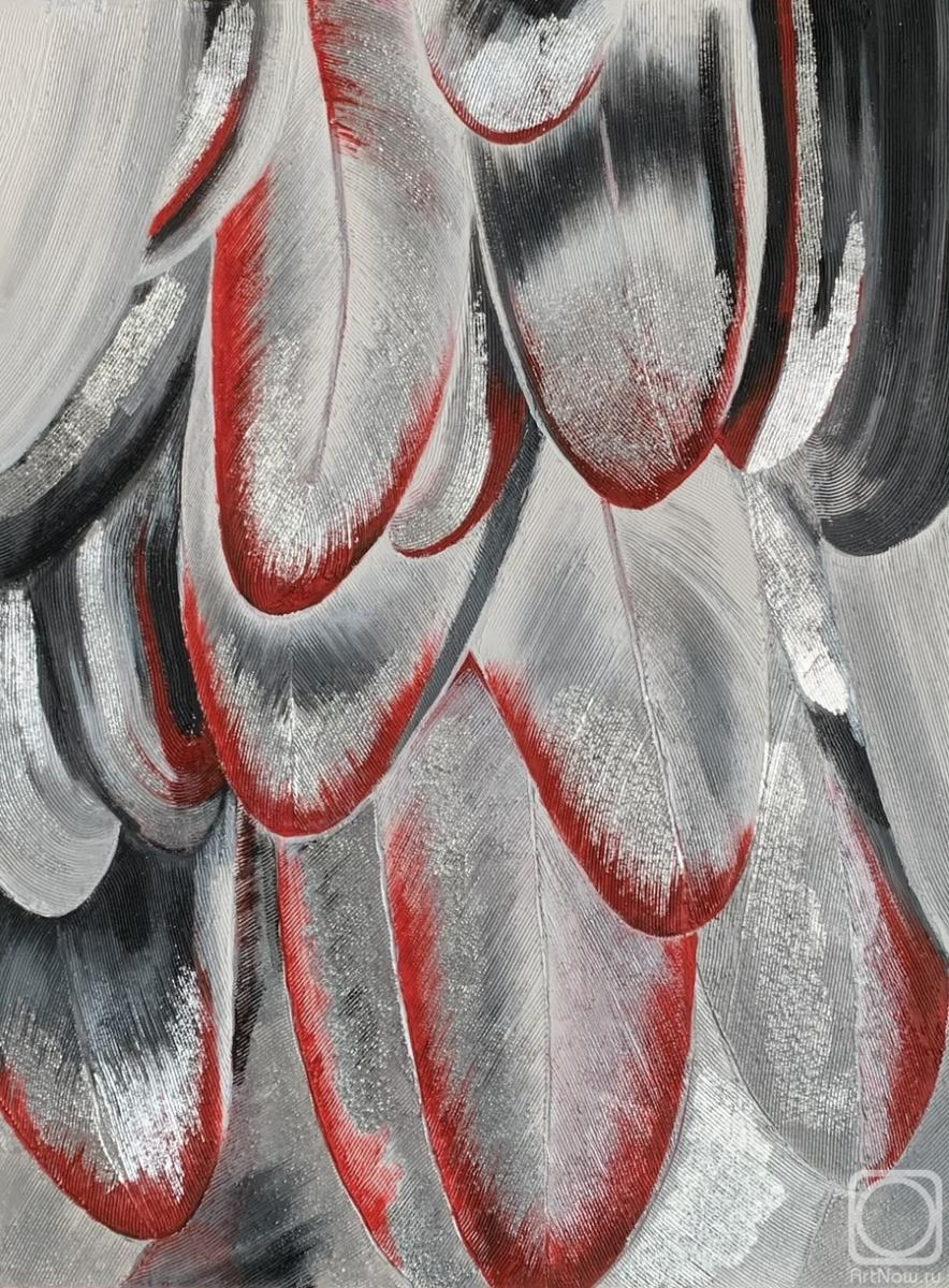 �������. ������� ��������. Feathers in red