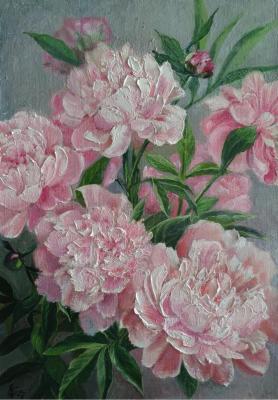 ������� ����� �� �����. ������ �������