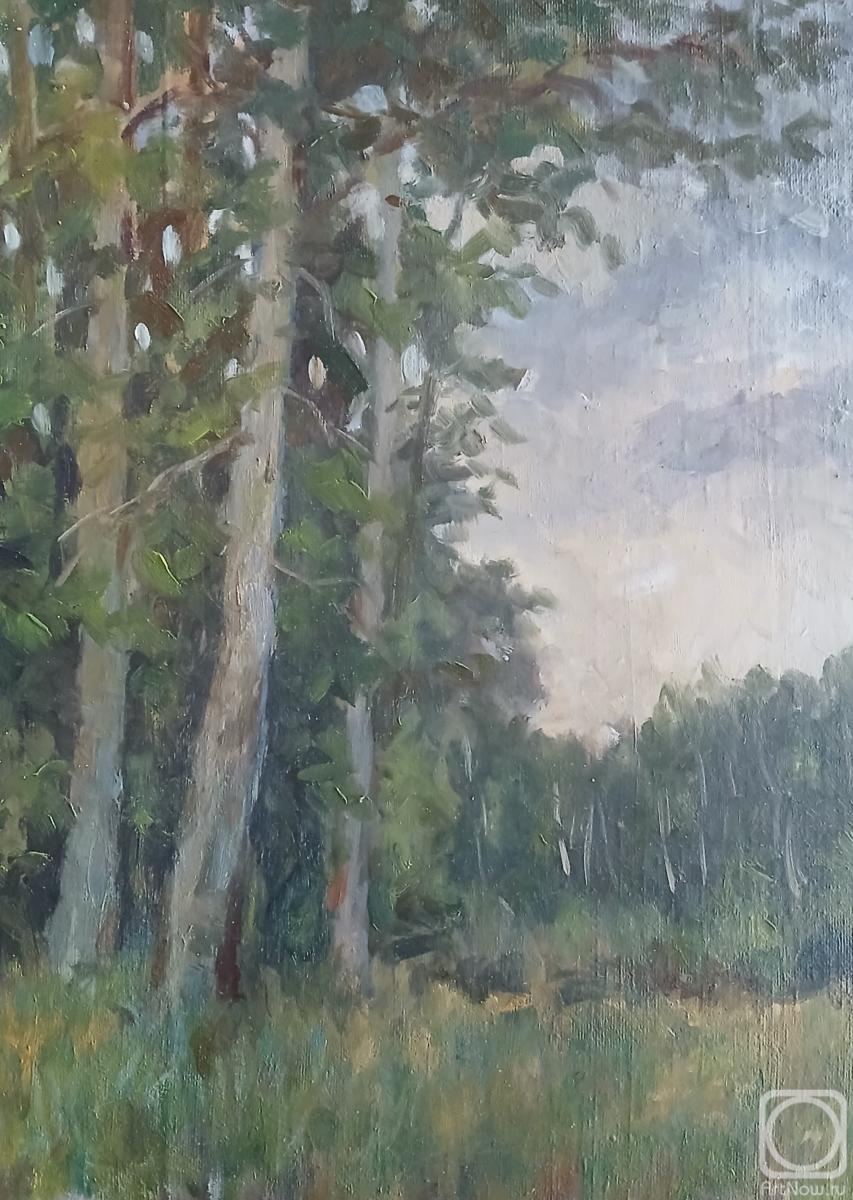 ������� ������ �� ������. ����� ������. ��������� ����