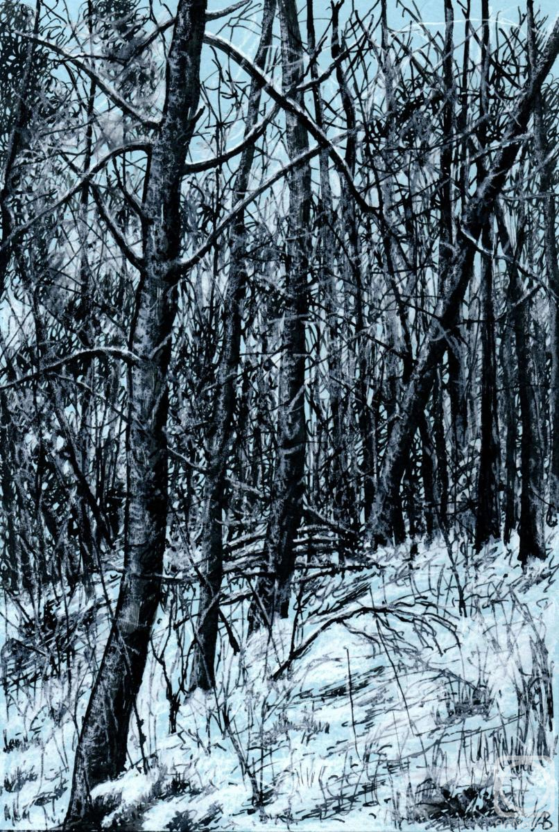 �������. ������� ��������. ����� ���� 38