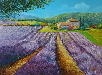 ������ �������. ������ �������