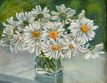 Daisies. Savelyeva Elena