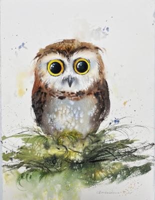 ������� ����������� ����