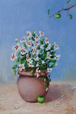 Geranium blooms. Ivanova Svetlana